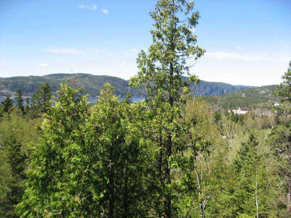 Chalet De La Montagne Villa Tadoussac Ngoại thất bức ảnh